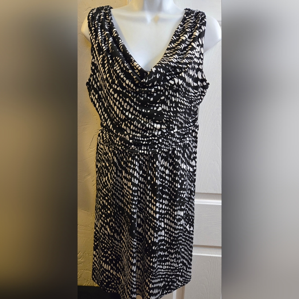 En Focus Studio Black & White Dress